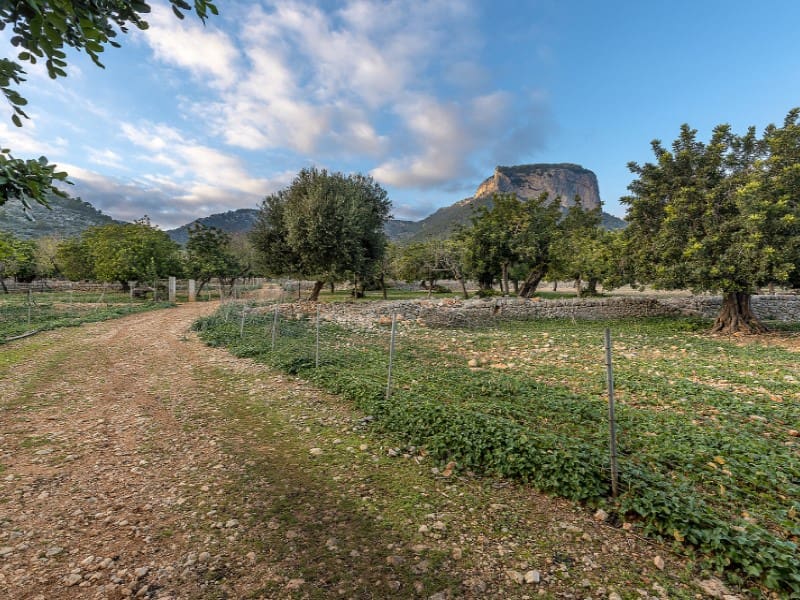 4 soverom Finca/Herregård til salgs i Alaro - € 6 500 000 (Ref: 8012169)