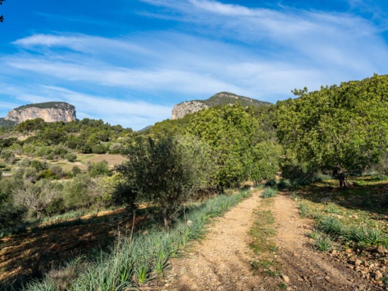 4 soveværelse Finca/Landehus til salg i Alaro - € 2.230.000 (Ref: 8073535)