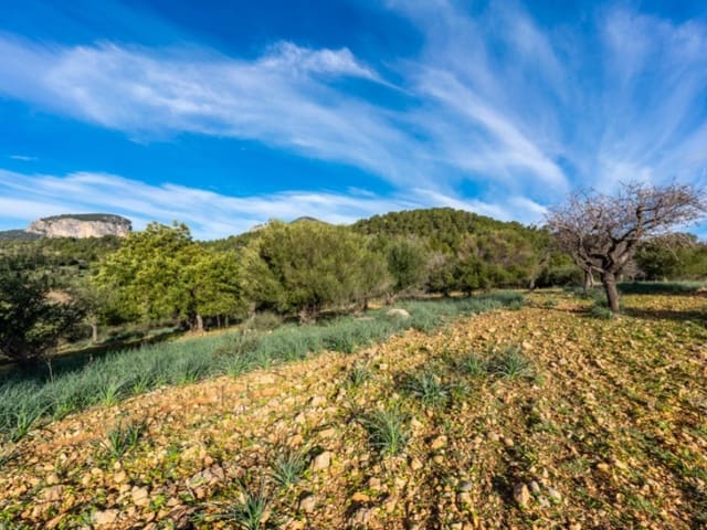 4 Zimmer Finca/Landgut zu verkaufen in Alaró - 2.200.000 € (Ref: 8073535)