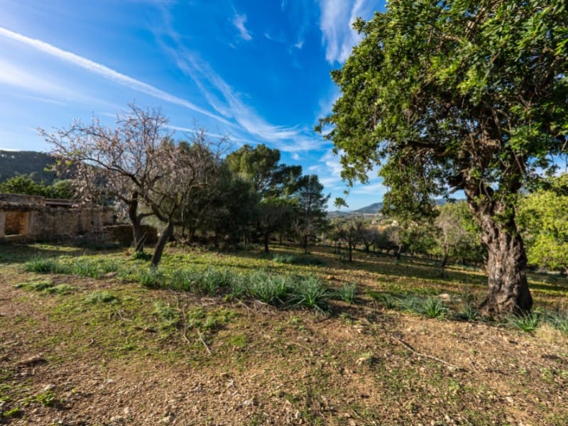 4 soveværelse Finca/Landehus til salg i Alaro - € 2.230.000 (Ref: 8073535)