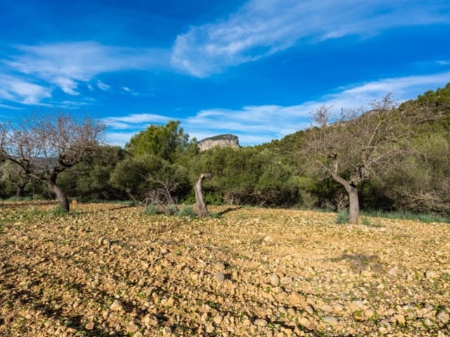 4 Zimmer Finca/Landgut zu verkaufen in Alaró - 2.200.000 € (Ref: 8073535)