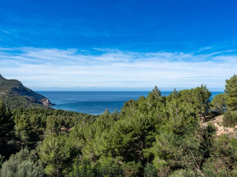 6 quarto Quinta/Casa Rural para venda em Banyalbufar com piscina - 1 600 000 € (Ref: 8124474)