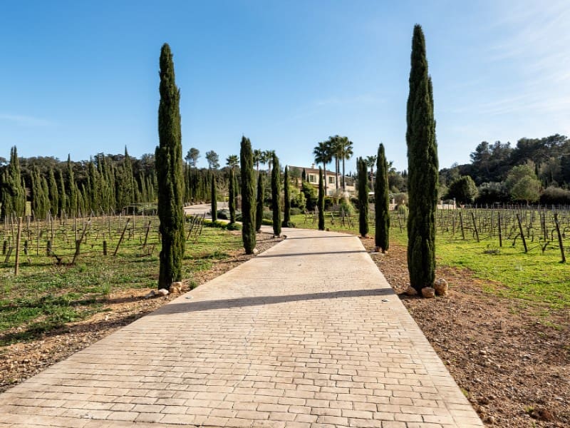 4 soveværelse Finca/Landehus til salg i Sencelles med swimmingpool garage - € 2.950.000 (Ref: 8140831)