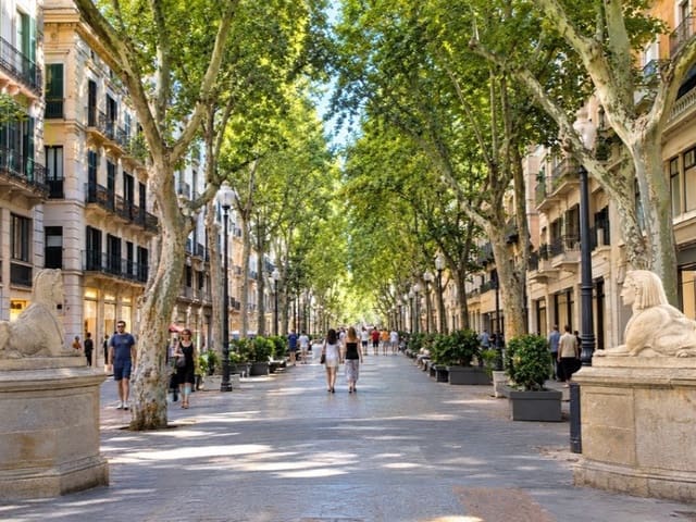 3 soveværelse Lejlighed til salg i La Llotja - Born, Palma de Mallorca - € 5.000.000 (Ref: 8181957)