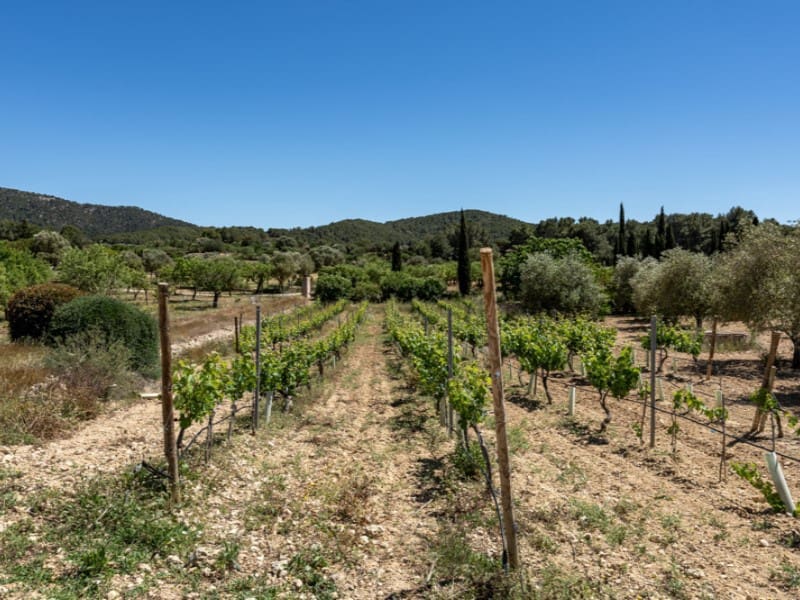 5 soveværelse Finca/Landehus til salg i Calvia med swimmingpool garage - € 7.250.000 (Ref: 8250288)