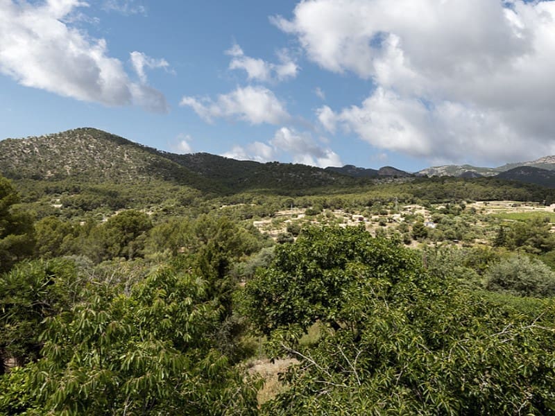 3 quarto Quinta/Casa Rural para venda em Alaro - 716 000 € (Ref: 8334178)