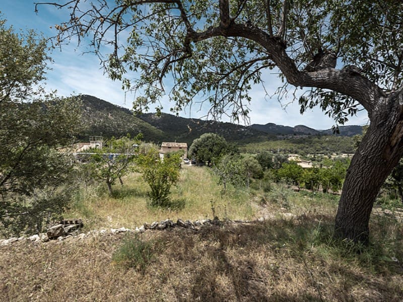 3 quarto Quinta/Casa Rural para venda em Alaro - 716 000 € (Ref: 8334178)