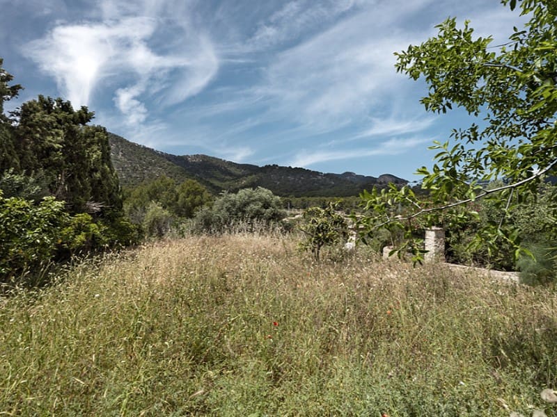 3 quarto Quinta/Casa Rural para venda em Alaro - 716 000 € (Ref: 8334178)