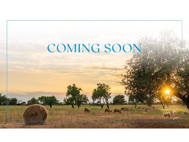 2 bedroom Apartment for sale in Campos - € 590,000 (Ref: 8410061)