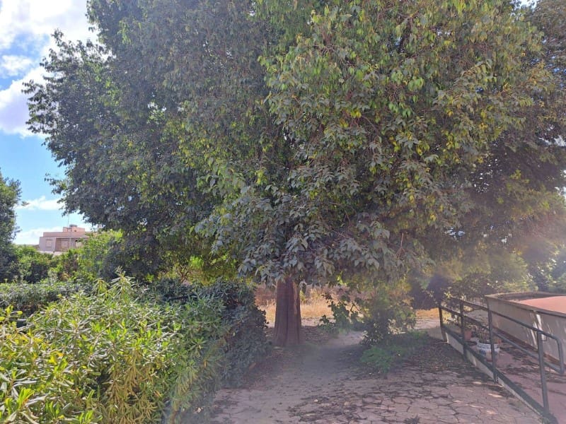 8 sypialnia Willa na sprzedaż w Santa Maria del Cami z basenem garażem - 1 299 000 € (Ref: 8446053)