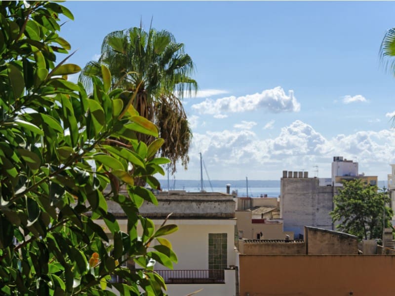 10 soveværelse Hotel til salg i Palma de Mallorca - € 4.000.000 (Ref: 8519398)