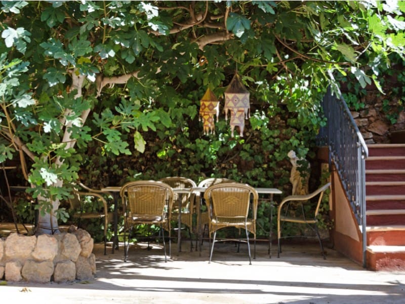 10 soveværelse Hotel til salg i Palma de Mallorca - € 4.000.000 (Ref: 8519398)