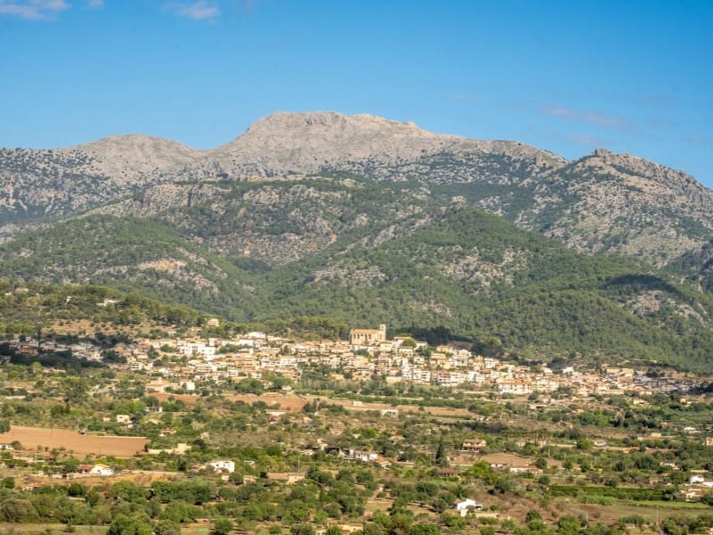 10 chambre Finca/Maison de Campagne à vendre à Selva avec piscine garage - 4 995 000 € (Ref: 8549241)