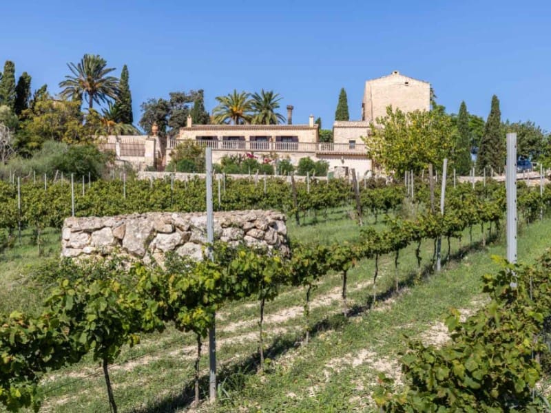 Finca/Casa Rural de 10 habitaciones en Manacor en venta - 9.500.000 € (Ref: 8665837)