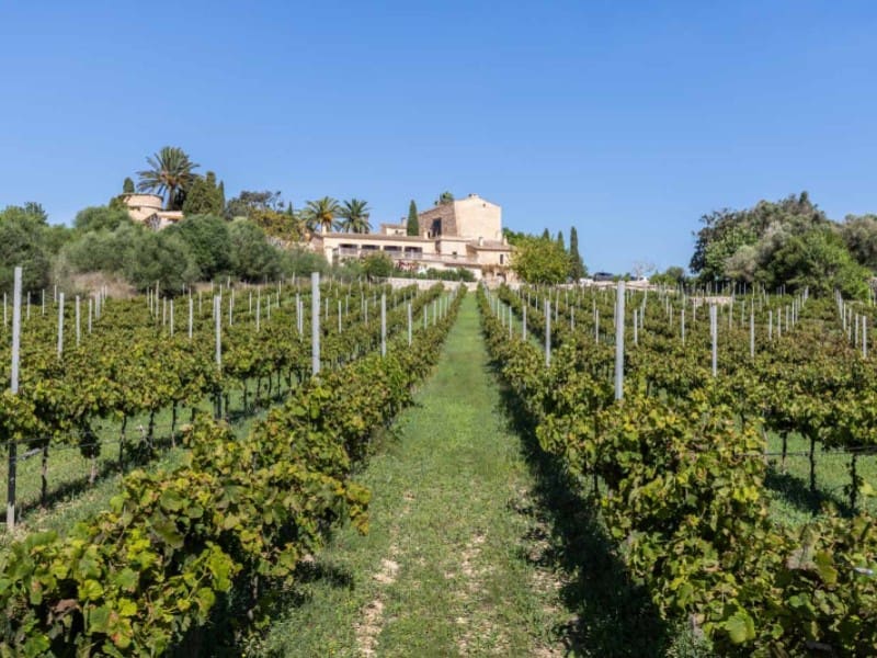 10 slaapkamer Finca/Landhuis te koop in Manacor - € 9.500.000 (Ref: 8665837)