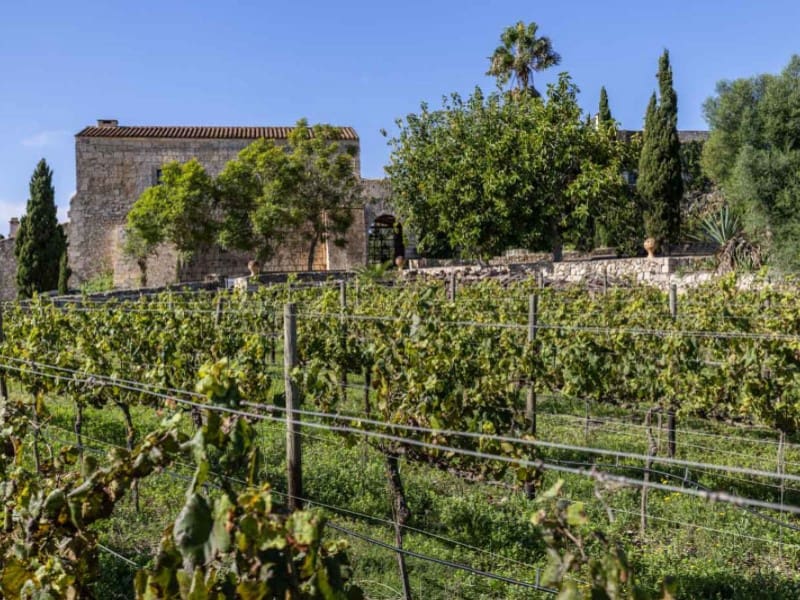 10 slaapkamer Finca/Landhuis te koop in Manacor - € 9.500.000 (Ref: 8665837)