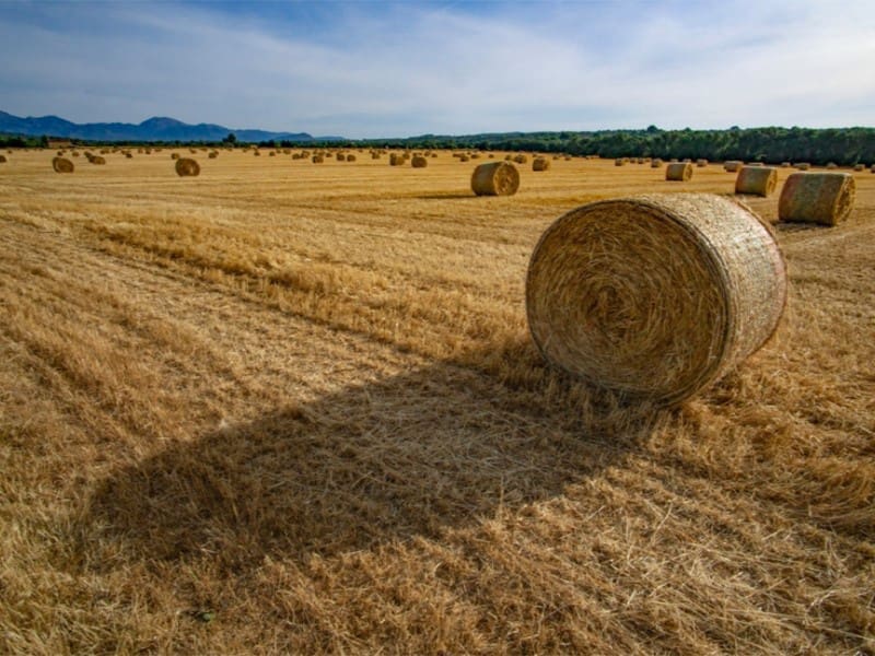 3 quarto Moradia para venda em Sineu com piscina garagem - 1 290 000 € (Ref: 8672218)