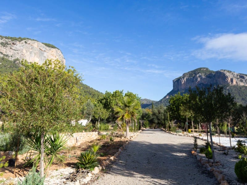 7 quarto Quinta/Casa Rural para venda em Alaro com piscina - 8 500 000 € (Ref: 8683973)