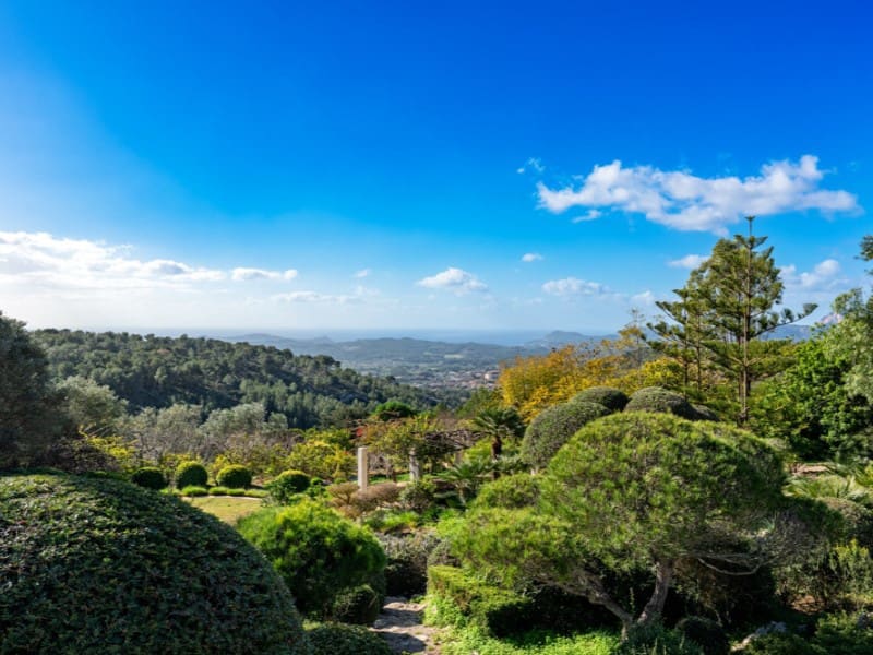 5 soveværelse Finca/Landehus til salg i Calvia med swimmingpool - € 6.800.000 (Ref: 8699904)