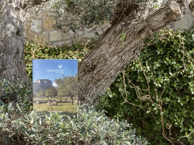 5 bedroom Villa for sale in Costa de la Calma with pool - € 4,250,000 (Ref: 8703118)