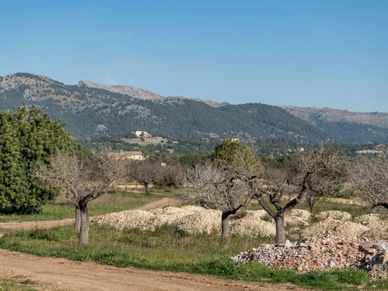 4 quarto Quinta/Casa Rural para venda em Campanet com piscina - 4 600 000 € (Ref: 8704244)