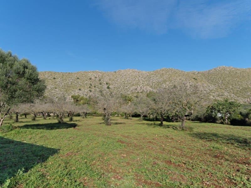 4 soverom Finca/Herregård til salgs i Pollensa / Pollenca med svømmebasseng - € 2 150 000 (Ref: 8756281)