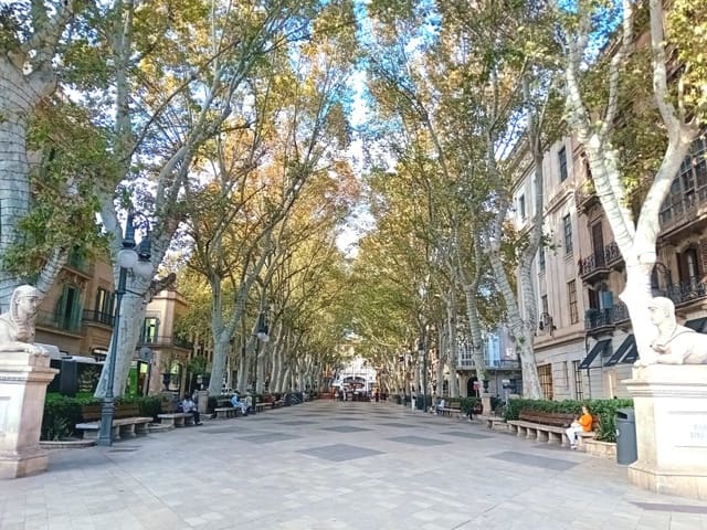 2 soveværelse Lejlighed til salg i El Mercat, Palma de Mallorca - € 2.000.000 (Ref: 8784257)