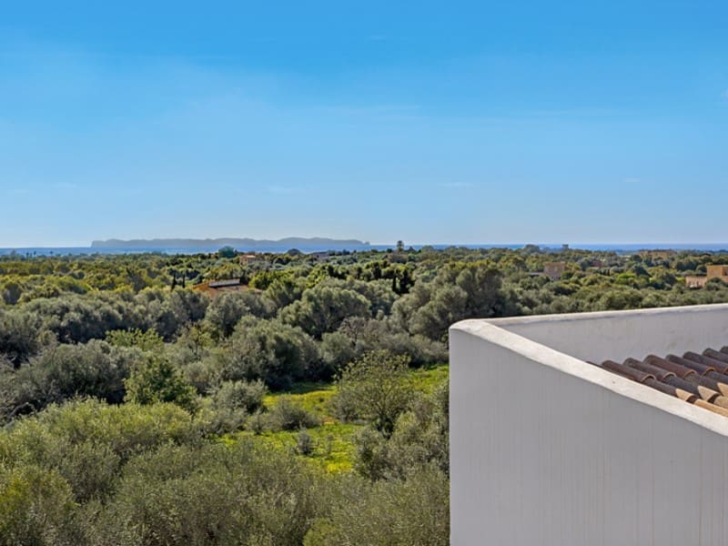 4 soveværelse Finca/Landehus til salg i Ses Salines med swimmingpool - € 3.590.000 (Ref: 8822745)