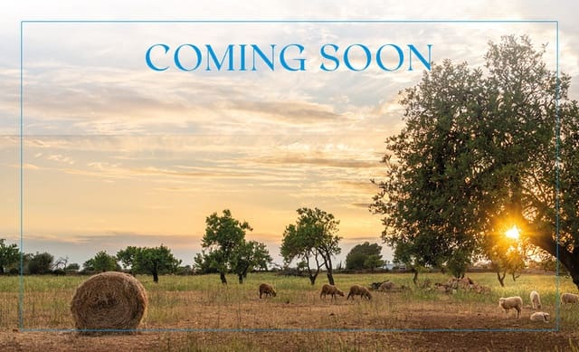 6 chambre Finca/Maison de Campagne à vendre à Sencelles avec piscine - 4 400 000 € (Ref: 8857627)