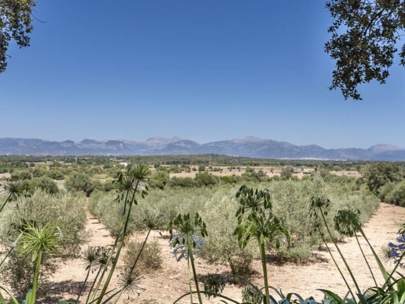 6 chambre Finca/Maison de Campagne à vendre à Sencelles avec piscine - 4 400 000 € (Ref: 8857627)