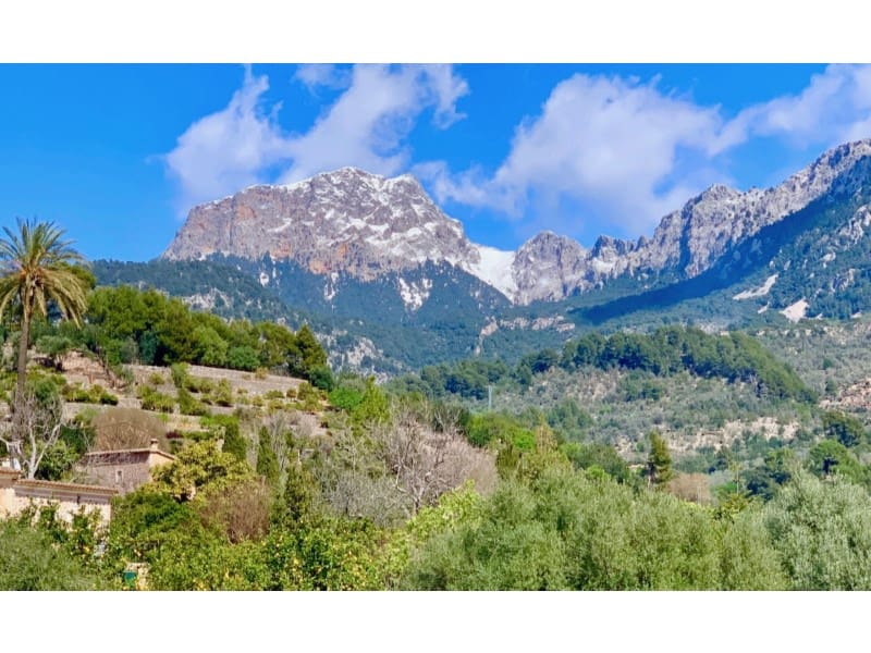 4 soveværelse Villa til salg i Soller - € 2.950.000 (Ref: 8869873)