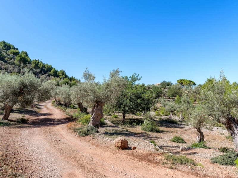 6 soveværelse Finca/Landehus til salg i Deia - € 3.900.000 (Ref: 8929190)
