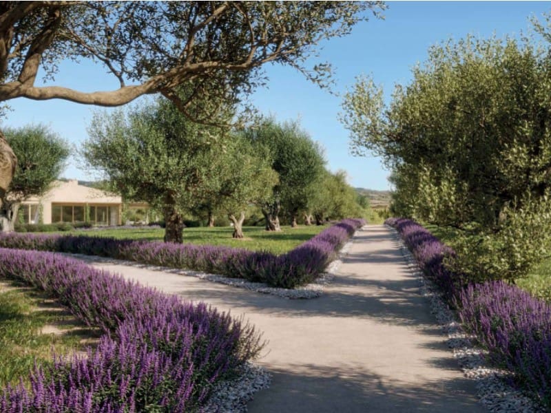 18 soveværelse Finca/Landehus til salg i Algaida med swimmingpool - € 17.500.000 (Ref: 8932540)