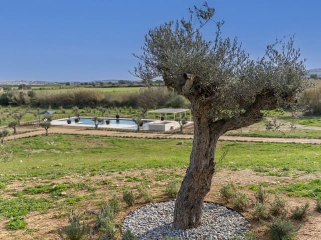 Finca/Casa Rural de 18 habitaciones en Algaida en venta con piscina garaje - 17.500.000 € (Ref: 8932540)