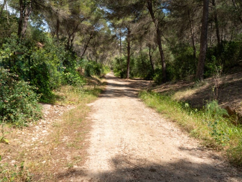 2 chambre Appartement à vendre à Sol de Mallorca avec garage - 745 000 € (Ref: 8972656)