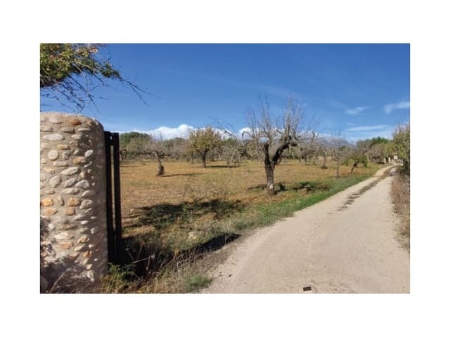 4 bedroom Finca/Country House for sale in Búger with pool - € 1,990,000 (Ref: 8976478)