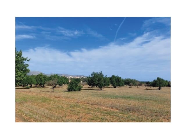 4 bedroom Finca/Country House for sale in Búger with pool - € 1,990,000 (Ref: 8976478)