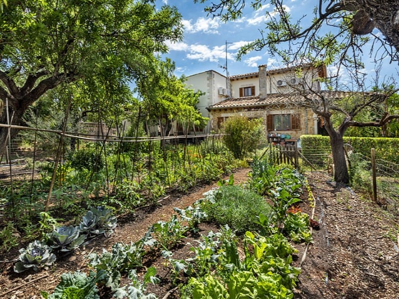 5 chambre Finca/Maison de Campagne à vendre à Santa Maria del Cami avec piscine garage - 1 900 000 € (Ref: 8988635)