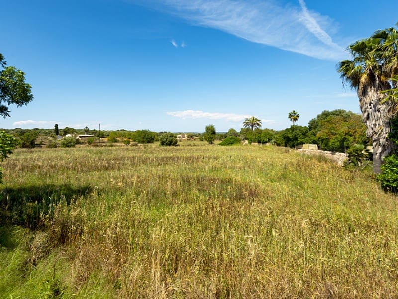 4 soverom Finca/Herregård til salgs i Campos med garasje - € 1 300 000 (Ref: 8994303)