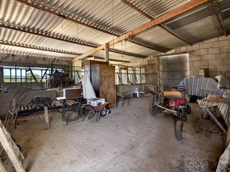 4 soverom Finca/Herregård til salgs i Campos med garasje - € 1 300 000 (Ref: 8994303)