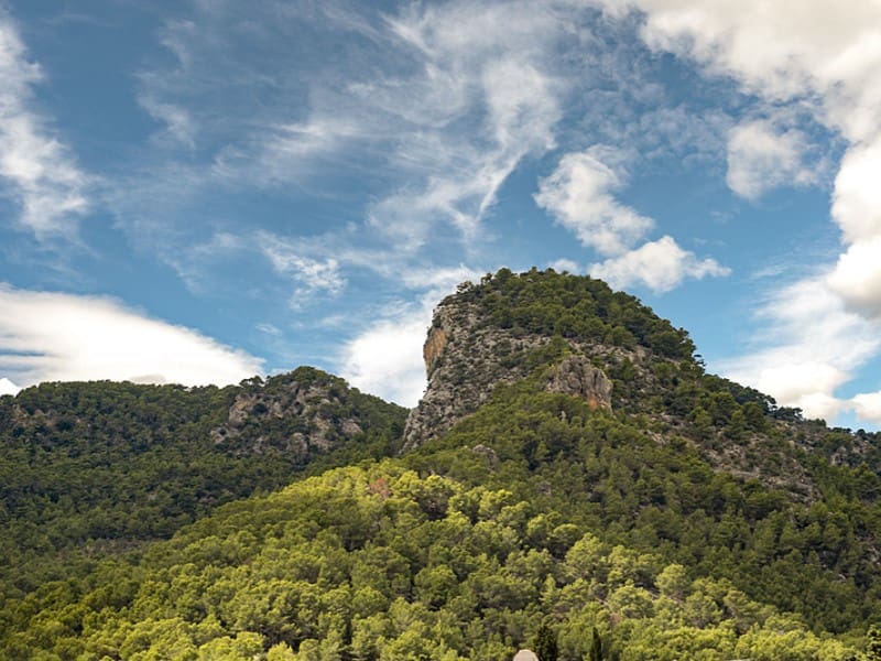 3 soveværelse Villa til salg i Alaro med swimmingpool garage - € 1.695.000 (Ref: 9005113)