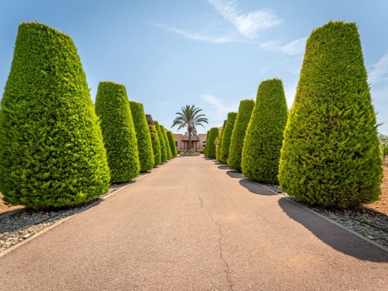 3 soveværelse Finca/Landehus til salg i Porreres med swimmingpool garage - € 4.800.000 (Ref: 9091954)