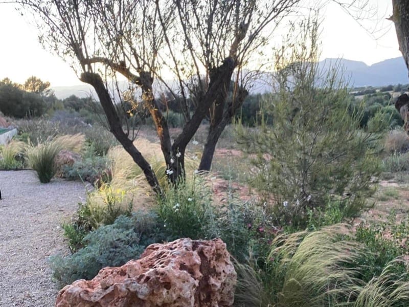 6 soveværelse Finca/Landehus til salg i Sencelles med swimmingpool garage - € 3.250.000 (Ref: 9103378)