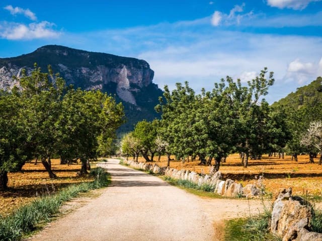 Undeveloped Land for sale in Alaró - € 1,150,000 (Ref: 9112657)