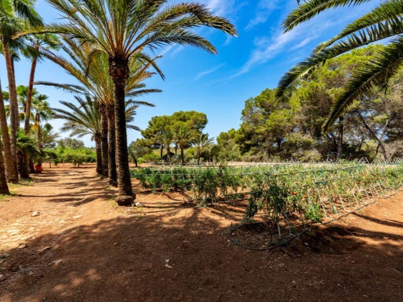 7 soveværelse Finca/Landehus til salg i Campos med swimmingpool garage - € 3.500.000 (Ref: 9119060)