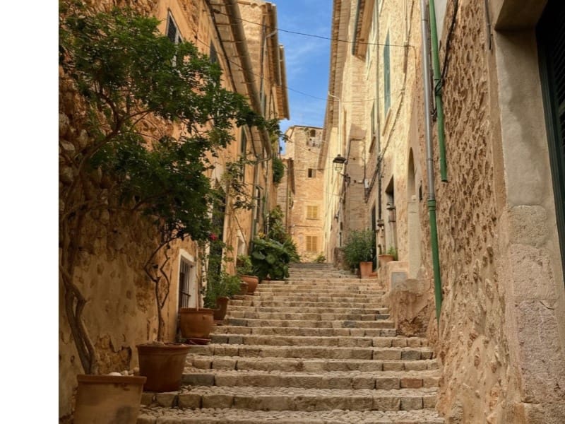 4 soveværelse Villa til salg i Fornalutx - € 1.800.000 (Ref: 9125446)