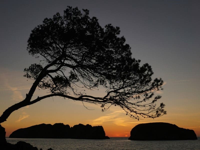 7 slaapkamer Finca/Landhuis te koop in Calvia met zwembad - € 15.000.000 (Ref: 9128617)