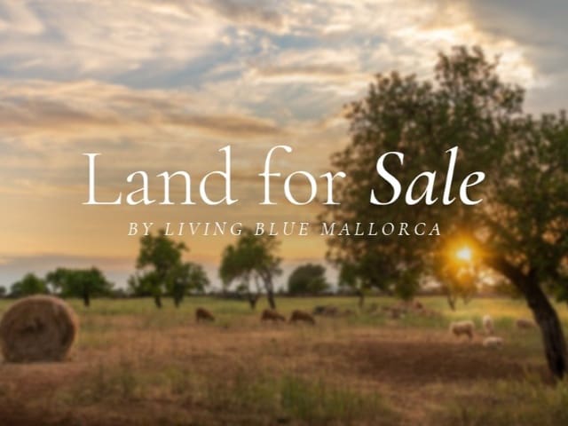 Grunde uden byggetilladelser til salg i Manacor - € 450.000 (Ref: 9141716)