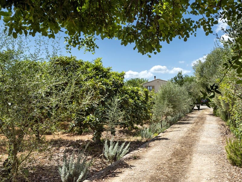 5 soveværelse Finca/Landehus til salg i Santa Maria del Cami med swimmingpool - € 1.100.000 (Ref: 9164223)