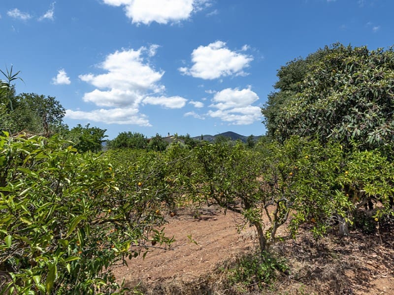 5 soveværelse Finca/Landehus til salg i Santa Maria del Cami med swimmingpool - € 1.100.000 (Ref: 9164223)